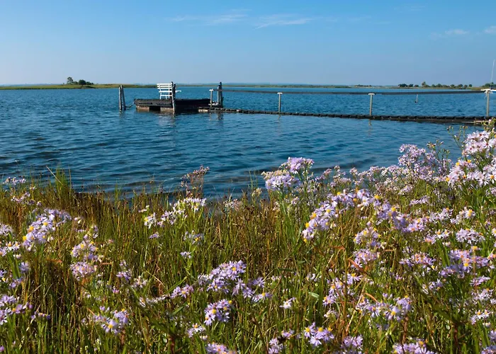 Inselhaeuser Kaltenhof Inselhaus 1 Insel Poel